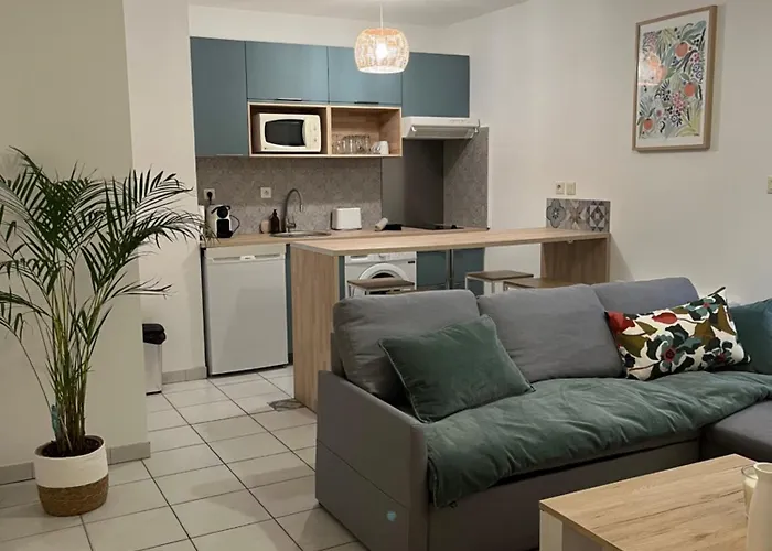 公寓 T2 Balcon Et Parking A 10 Min Du Centre 尼奥尔